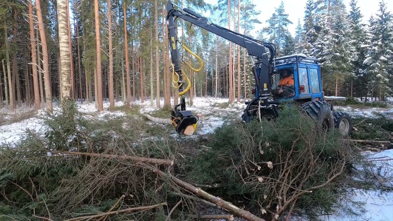 MTZ 82 harvester in the forest