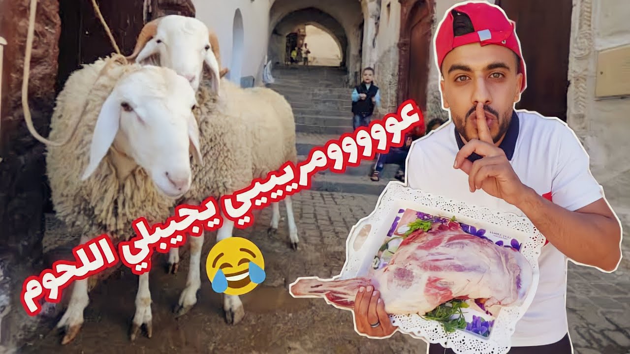 زعطة خون لزفطة اللحم 😂