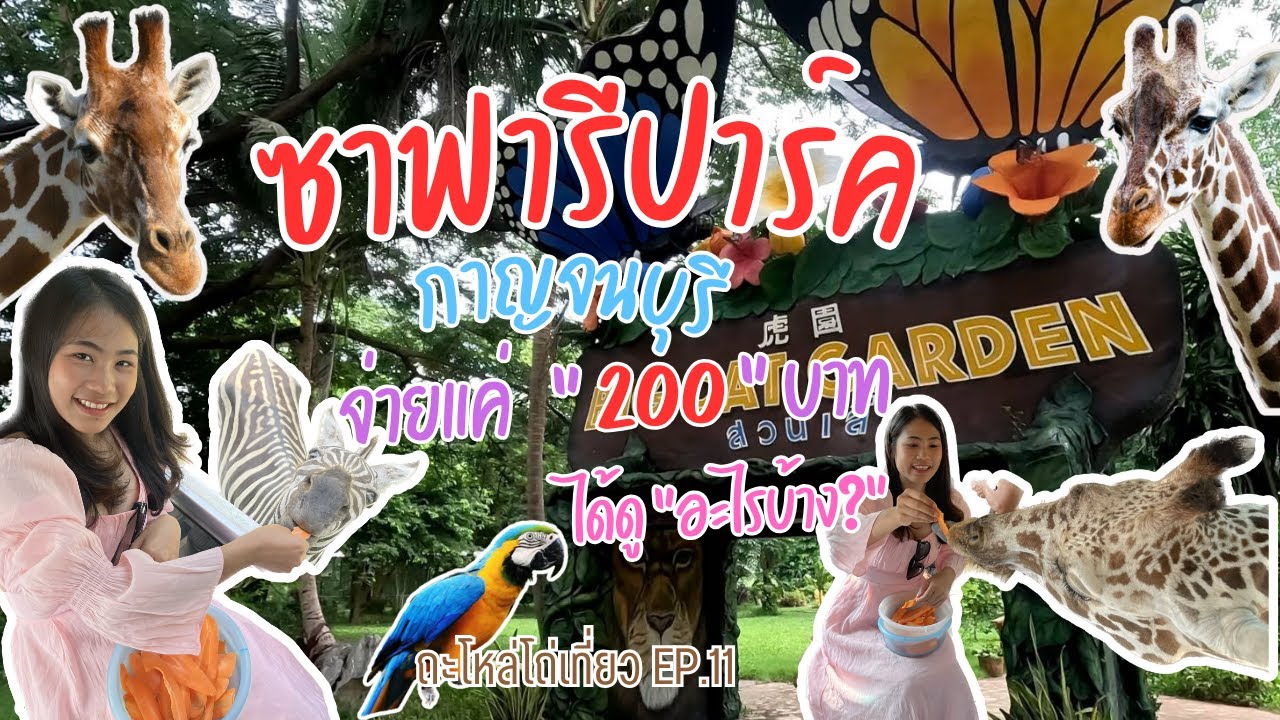 สวนสัตว์เปิดซาฟารีปาร์คกาญจนบุรี (ที่เที่ยวจังหวัดกาญจนบุรี)อัพเดทใหม่ปี2023