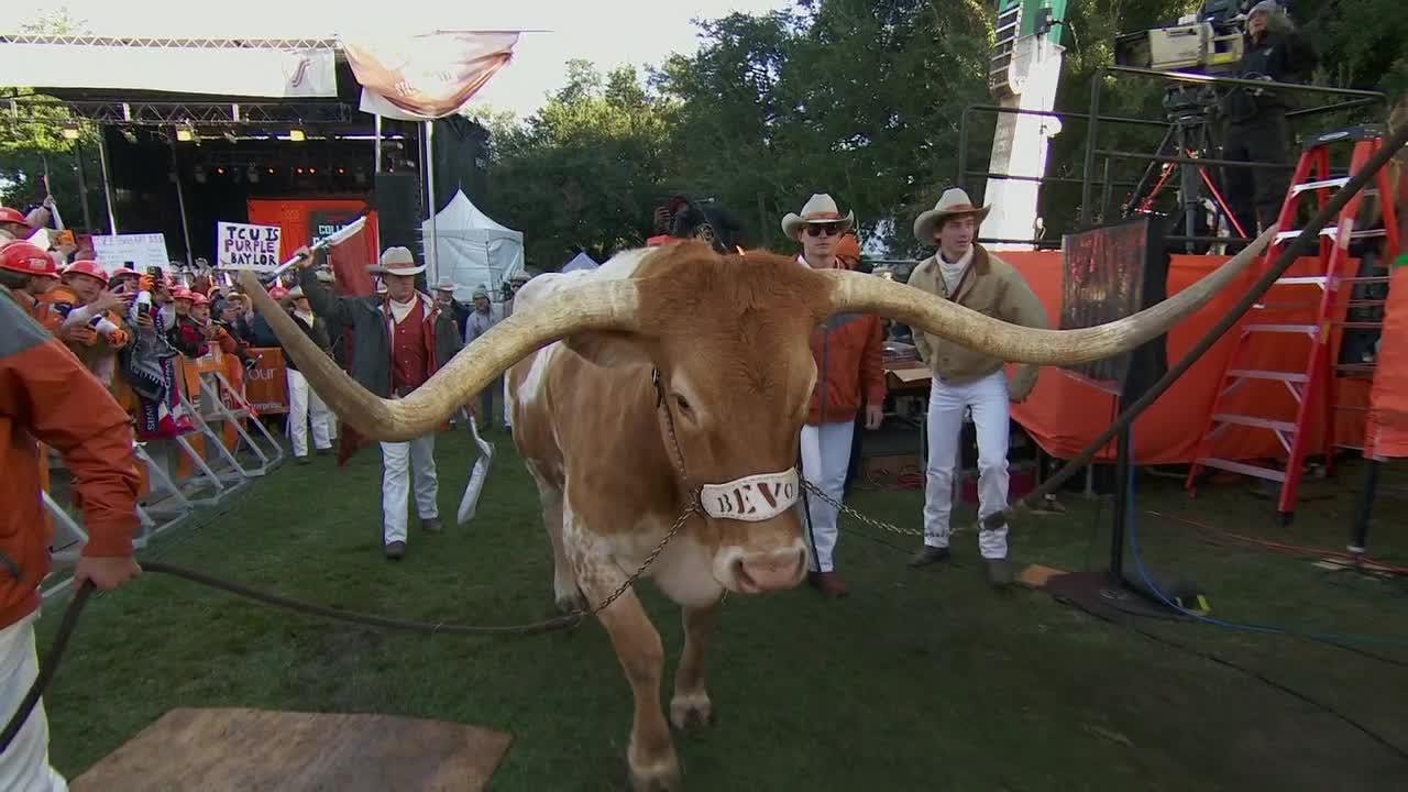 Бево в отличном настроении на студенческий игровой день! 🐂