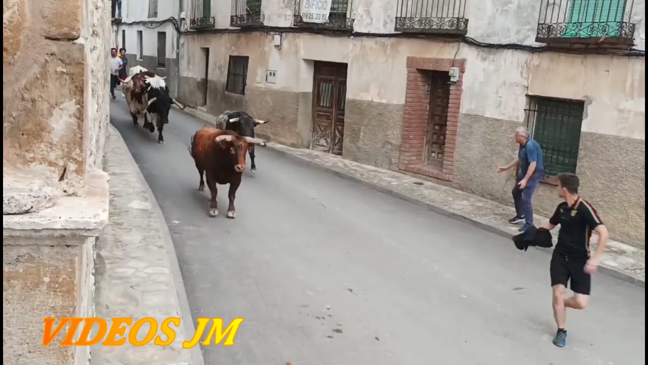 Encierros Budia 2024