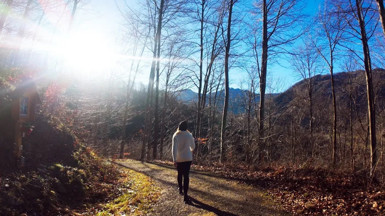 🇦🇹 A Scenic Trail in the Austrian Alps (ONE SHOT - NO CUTS - 4K) #alps #walking