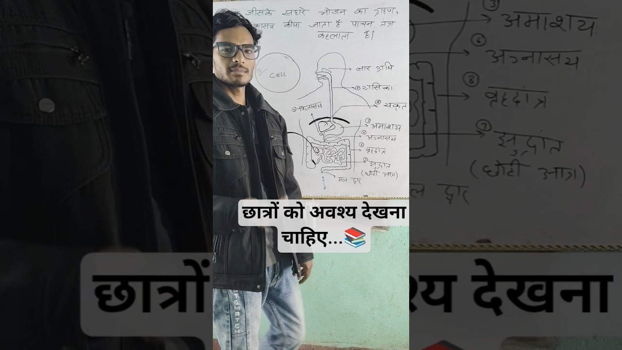 Pachan tantra | Digestive system #tranding #viral #youtubeshorts #education
