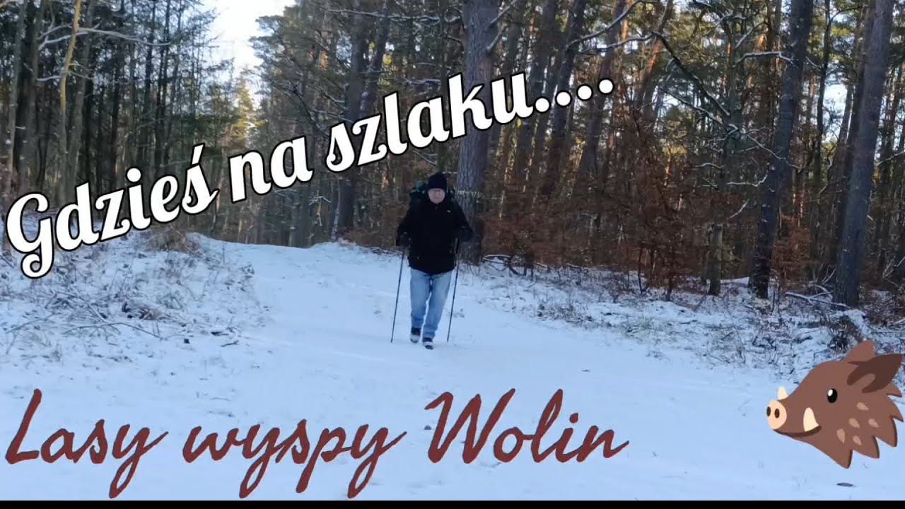 Gdzieś na szlaku.... Lasy wyspy Wolin.