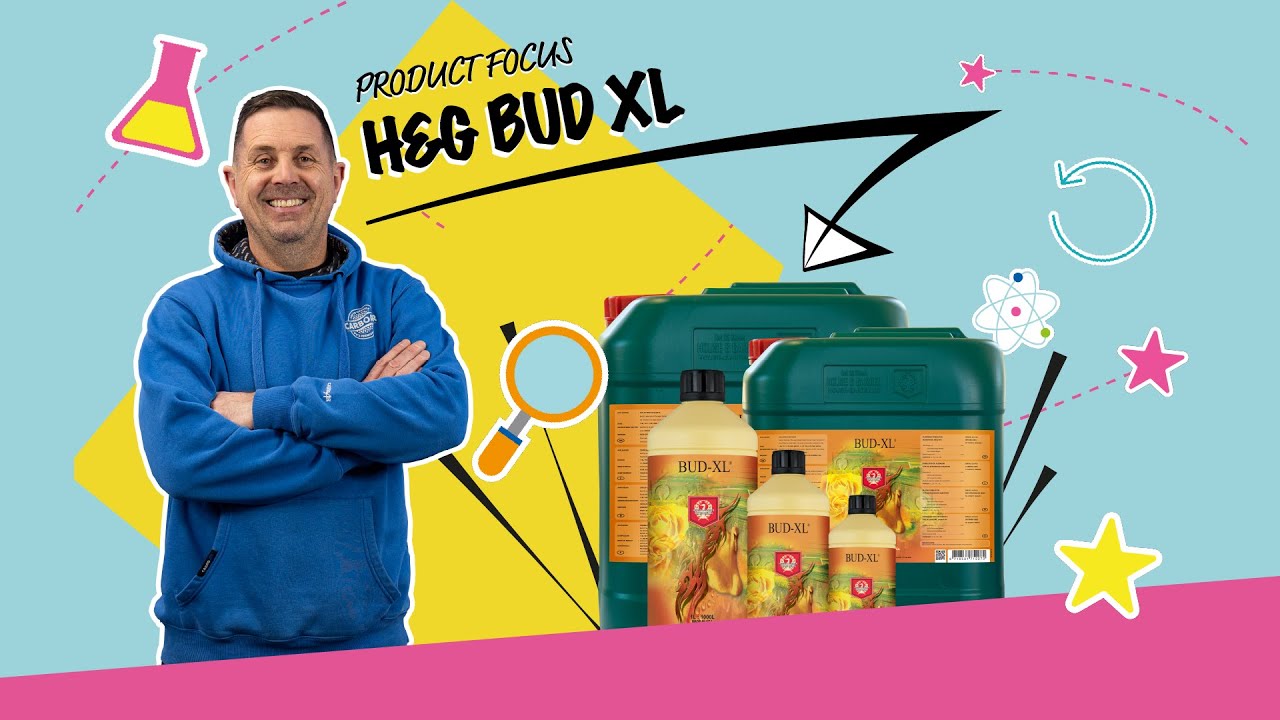 Product Focus | Bud XL | Global Air Supplies