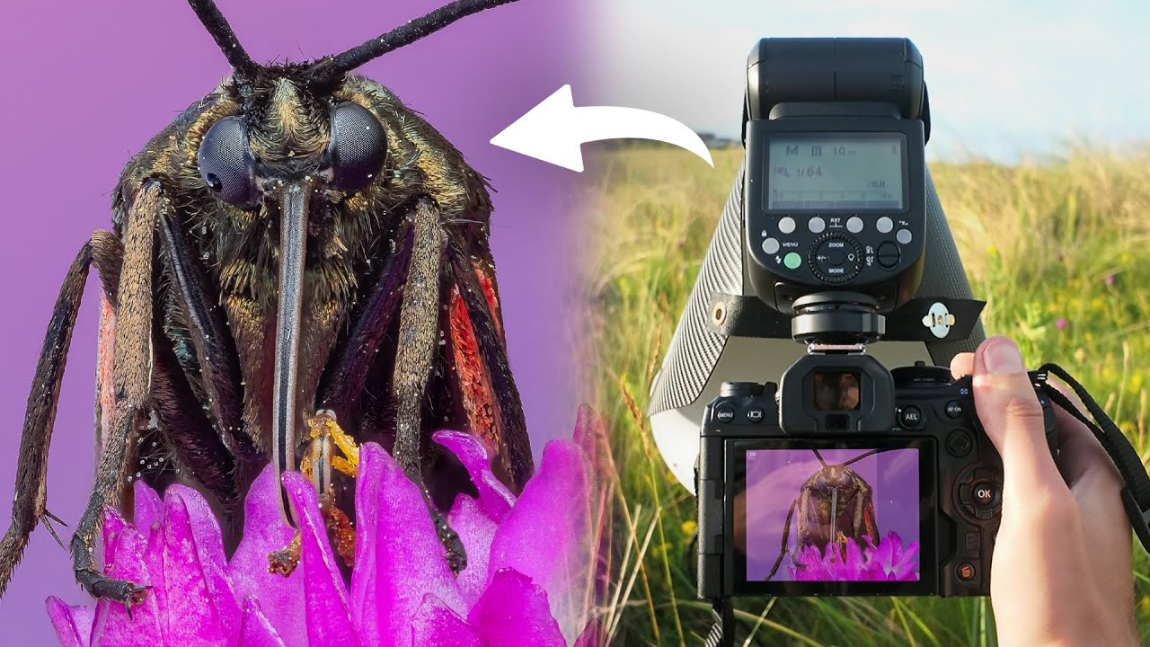 POV Macro Photography in Coastal Sand Dunes