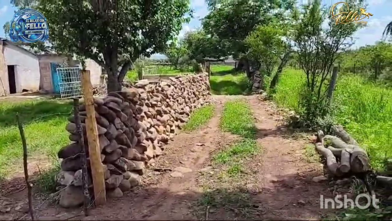 El Amigo Fello
