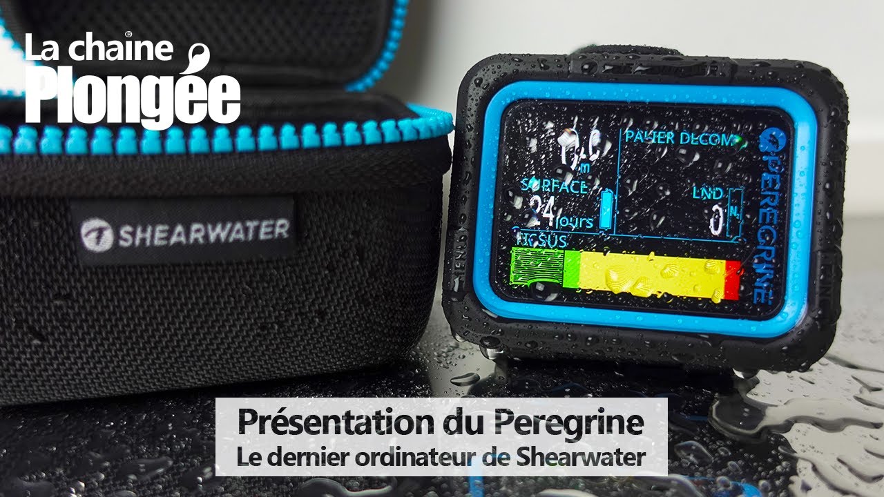 TEST & AVIS 😀 PRÉSENTATION DU PEREGRINE DE SHEARWATER