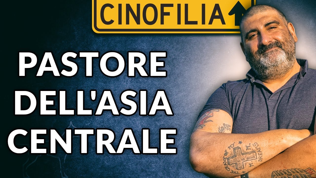 Il Pastore dell'Asia Centrale
