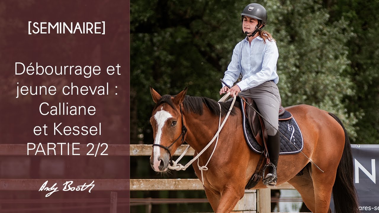 [SEMINAIRE] Débourrage et jeune cheval : Calliane et Kessel - PARTIE 2/2