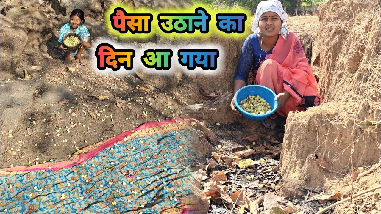 महुआ उठाने का ड्यूटी लग गया है 🥰🥰