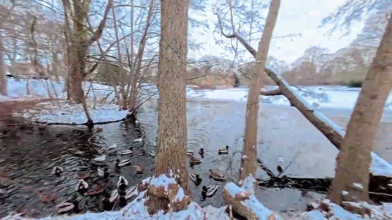The Calm of Snow 