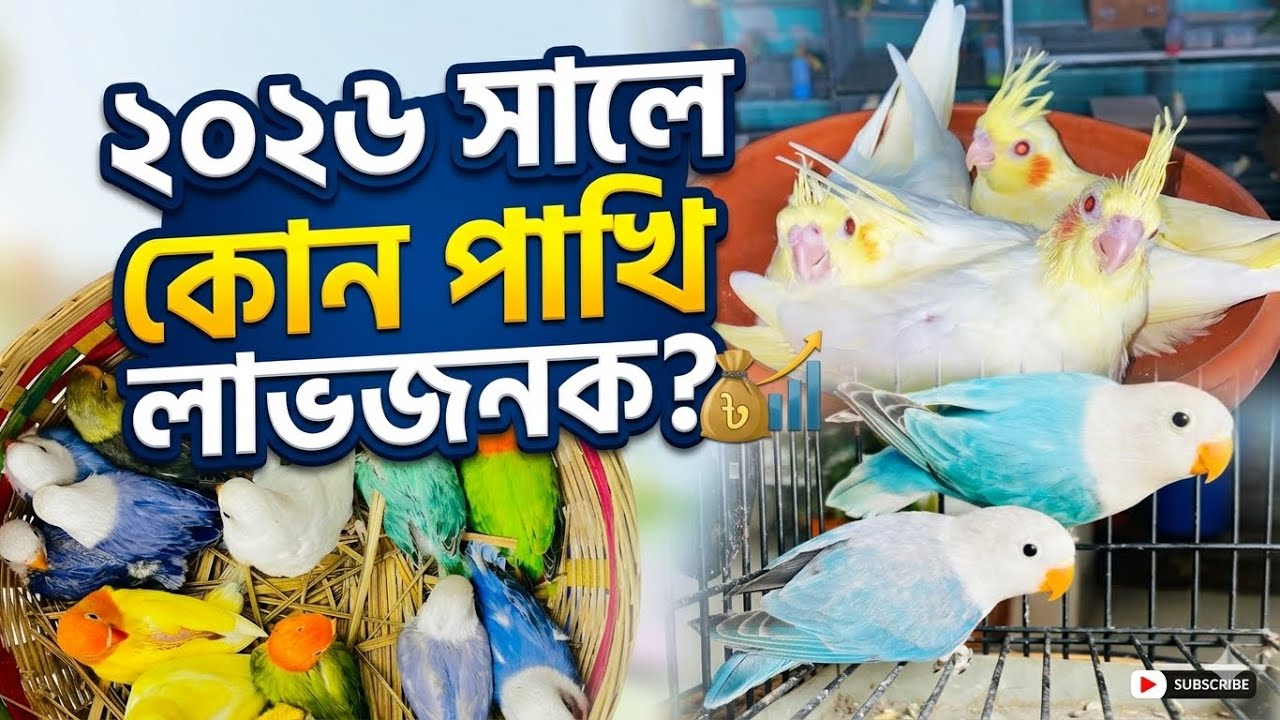 2026 সালে কোন কোন পাখি পালন করলে লাভবান হতে পারবেন ❤️ Tushar Aviary