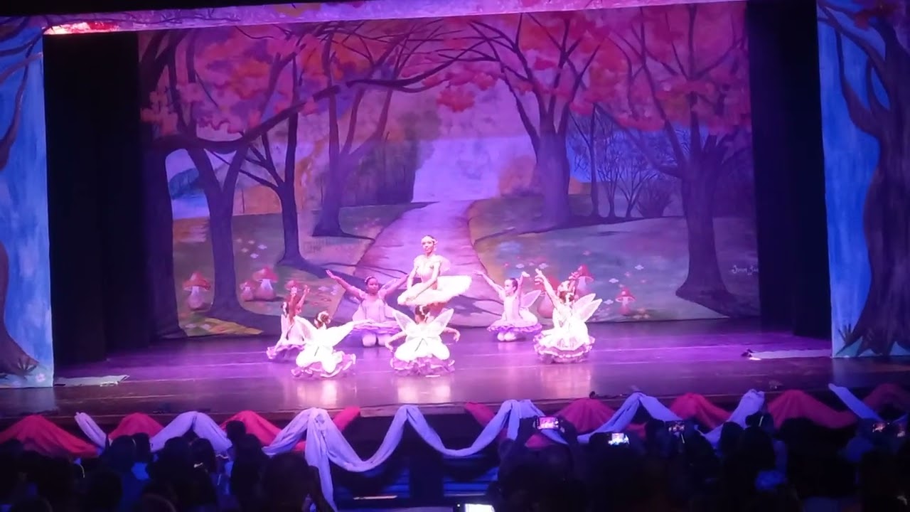 Espetáculo Entre sonhos e fadas Coreografia fadas da coragem - Escola de ballet Ilca Souza