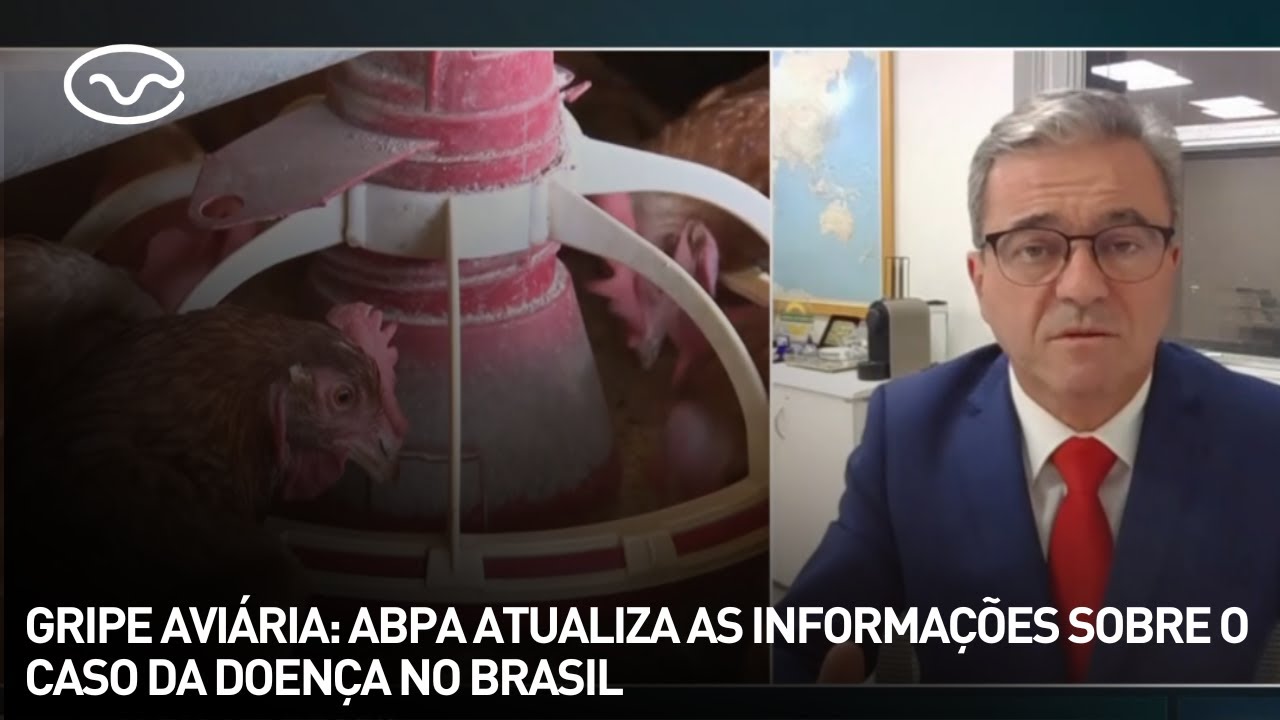 Gripe aviária: ABPA atualiza as informações sobre o caso da doença no Brasil