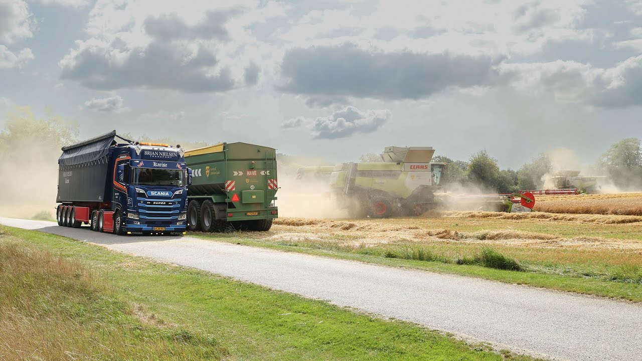 Graanoogst op het Deense platteland door Brian Nielsen
