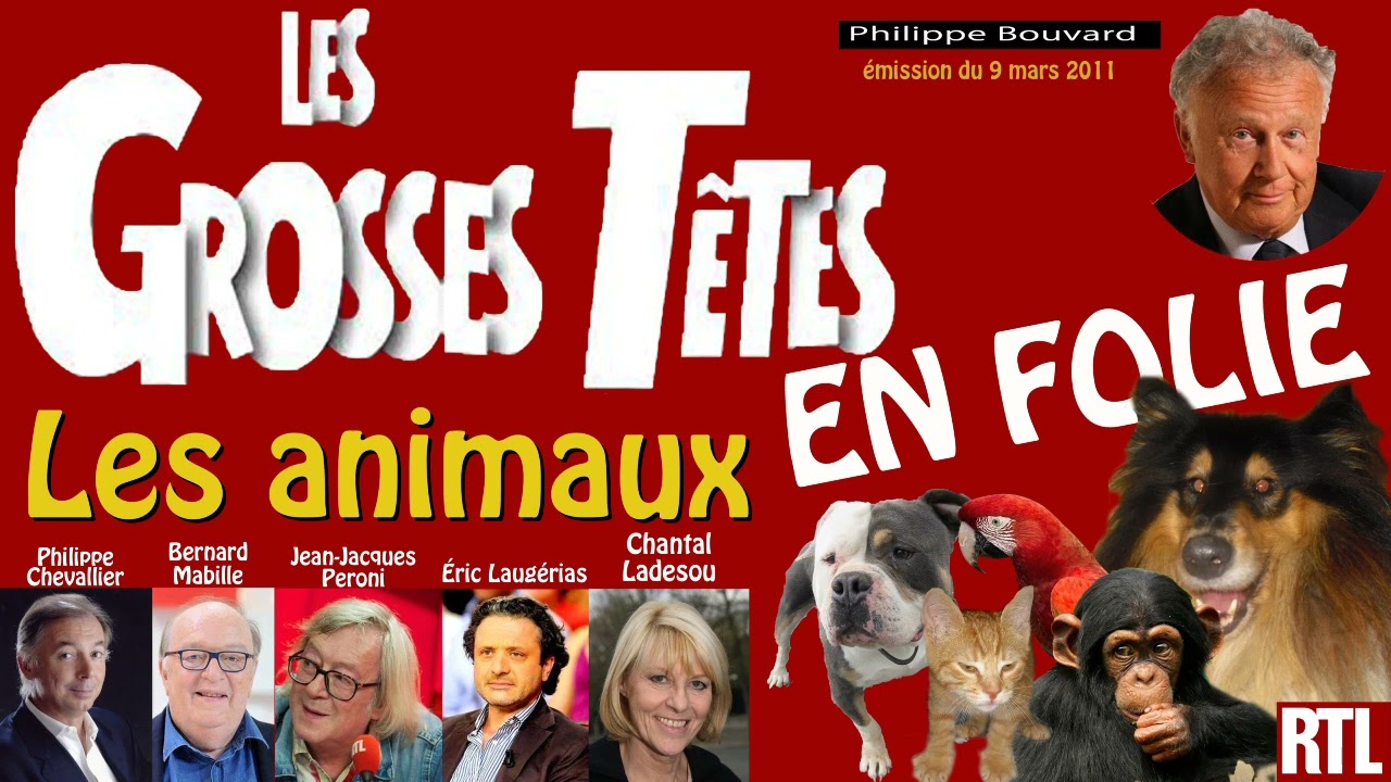 Les animaux dans les grosses têtes en folie (9 mars 2011)