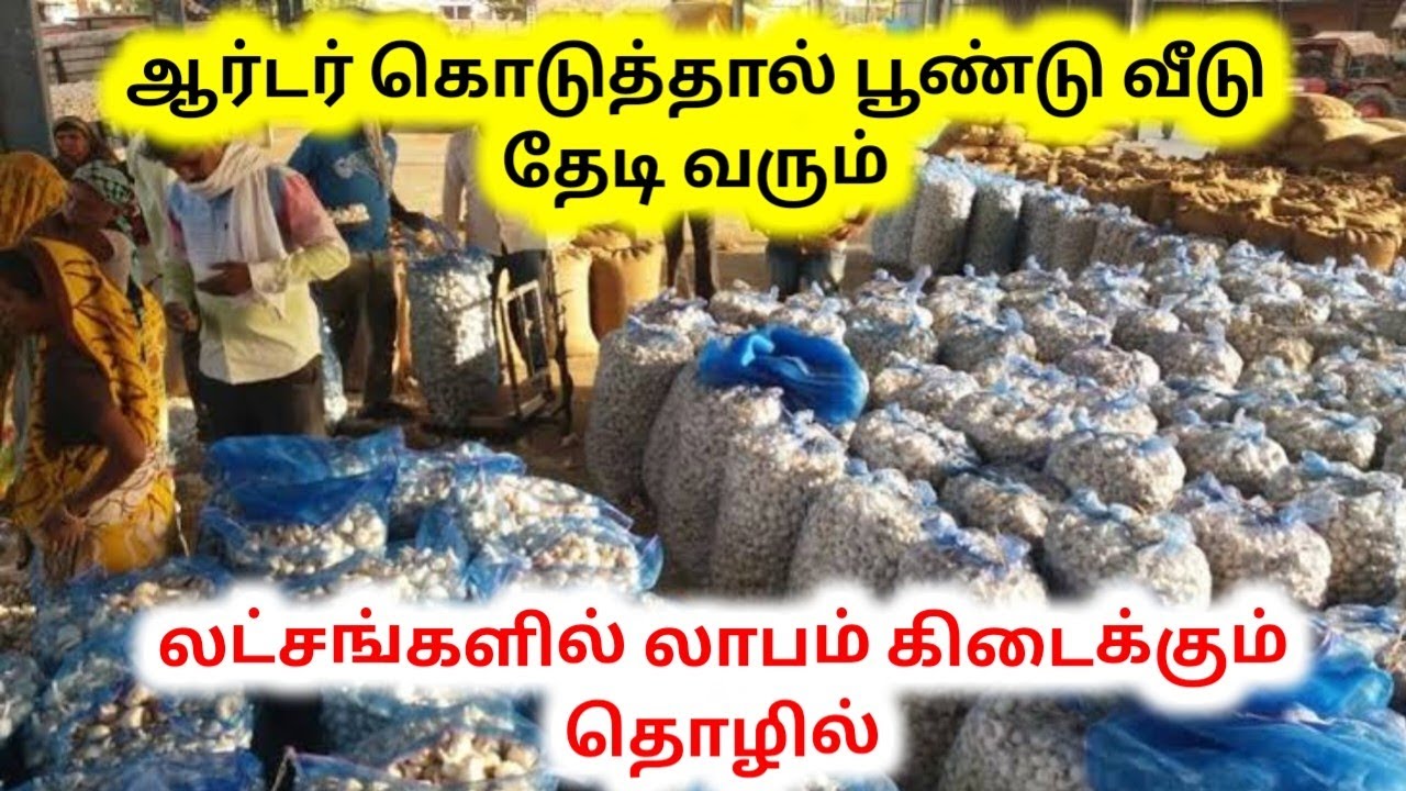Garlic available from 30 rupees per kilo | Garlic Wholesale Business | Garlic Wholesale Price Today