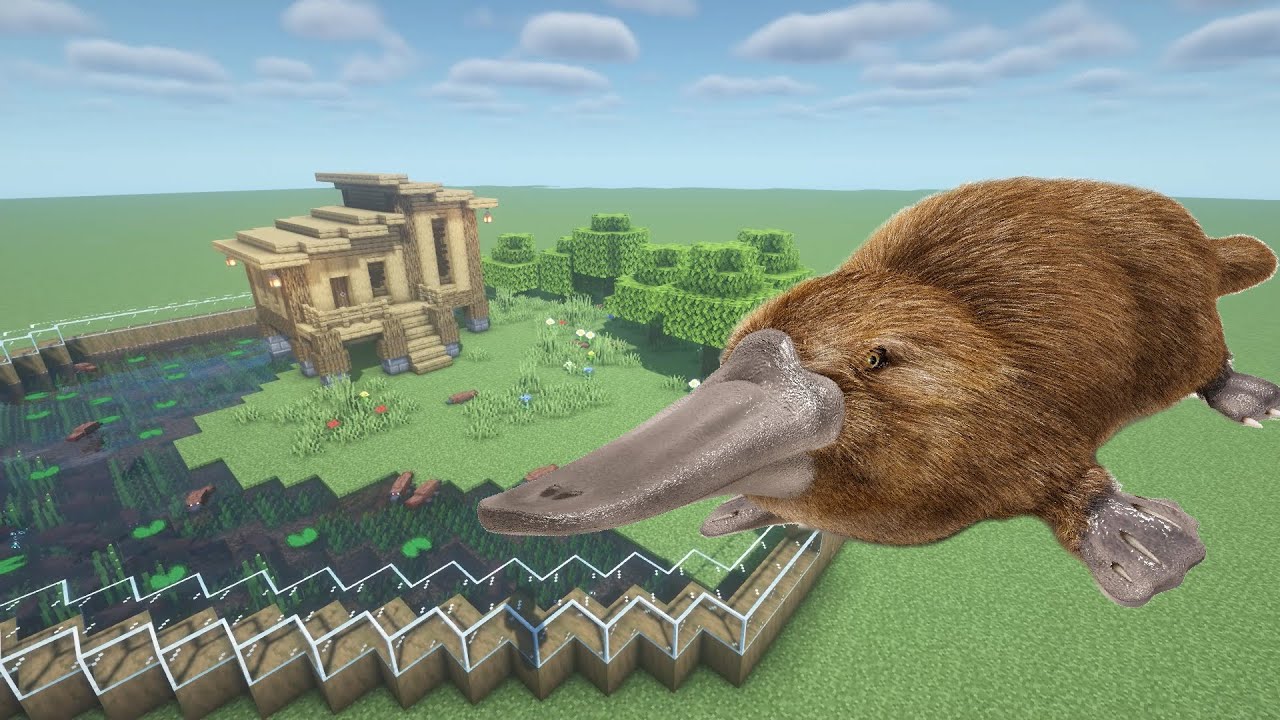 How To Make a Platypus Farm in Minecraft PE