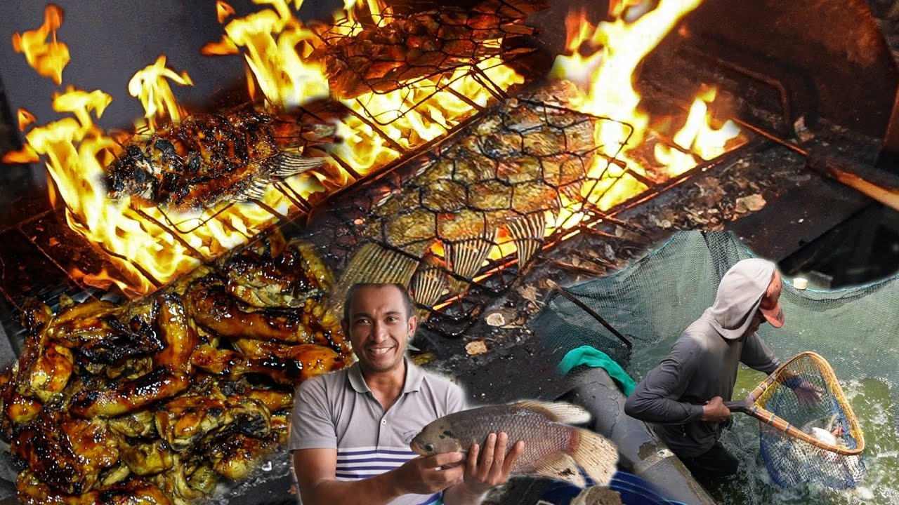 MAKAN DISINI BISA PILIH LANGSUNG UKURAN IKANNYA, HARGANYA DITIMBANG DULU