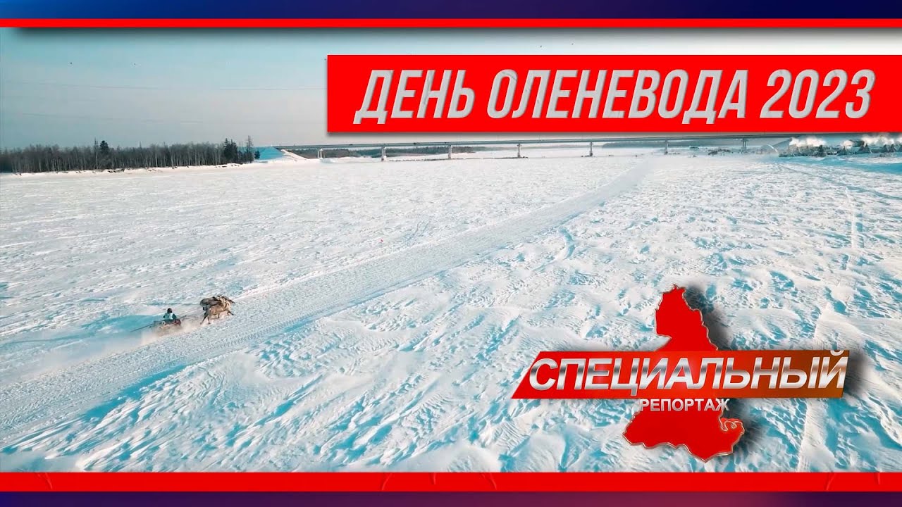 Самый колоритный праздник северян. День оленевода в Тарко-Сале - яркие воспоминания