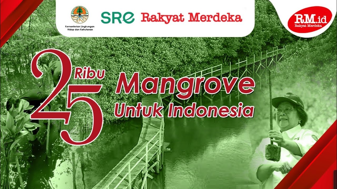 Rayakan Ultah Ke-25, Rakyat Merdeka-KLHK Tanam 25 Ribu Mangrove Di 25 Titik