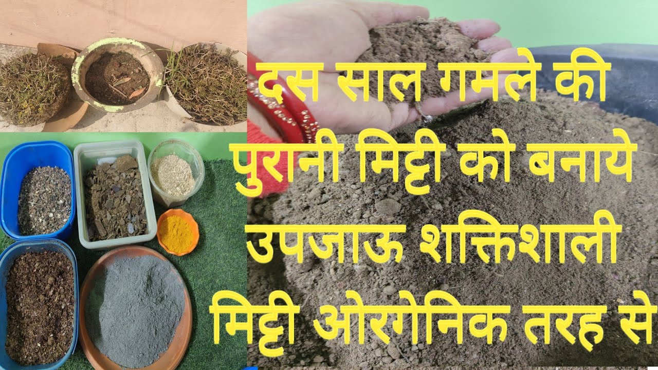 गमले की पत्थर जैसी मिट्टी को बनाये सोना मिट्टी घर की फ्री की चीजे डालकर । 