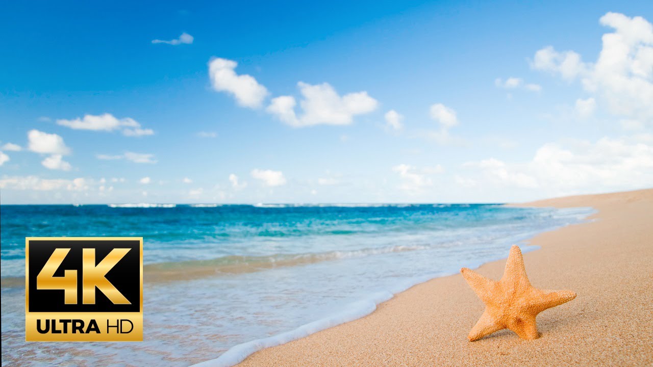 Ocean Waves Sounds : 4K Nature Concentration Relaxation Healing Music (1-Hour)