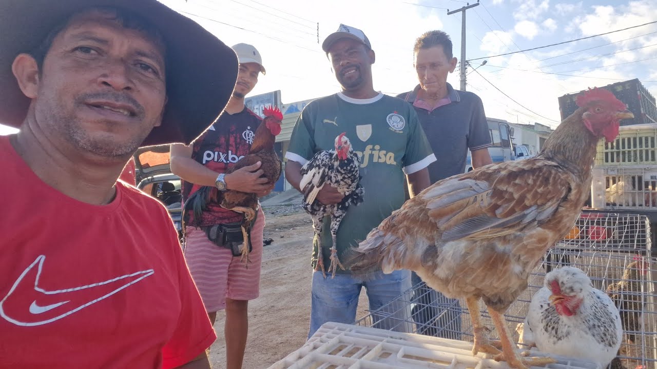 VANIO NA FEIRA DE DOIS RIACHO REGISTRADO AS NOVIDADES  #NORDESTE 
