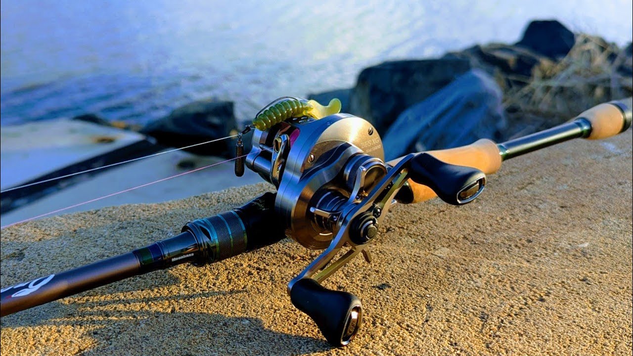 BFS Bream Fishing - Everything You Need To Know - Bait Finesse Bream