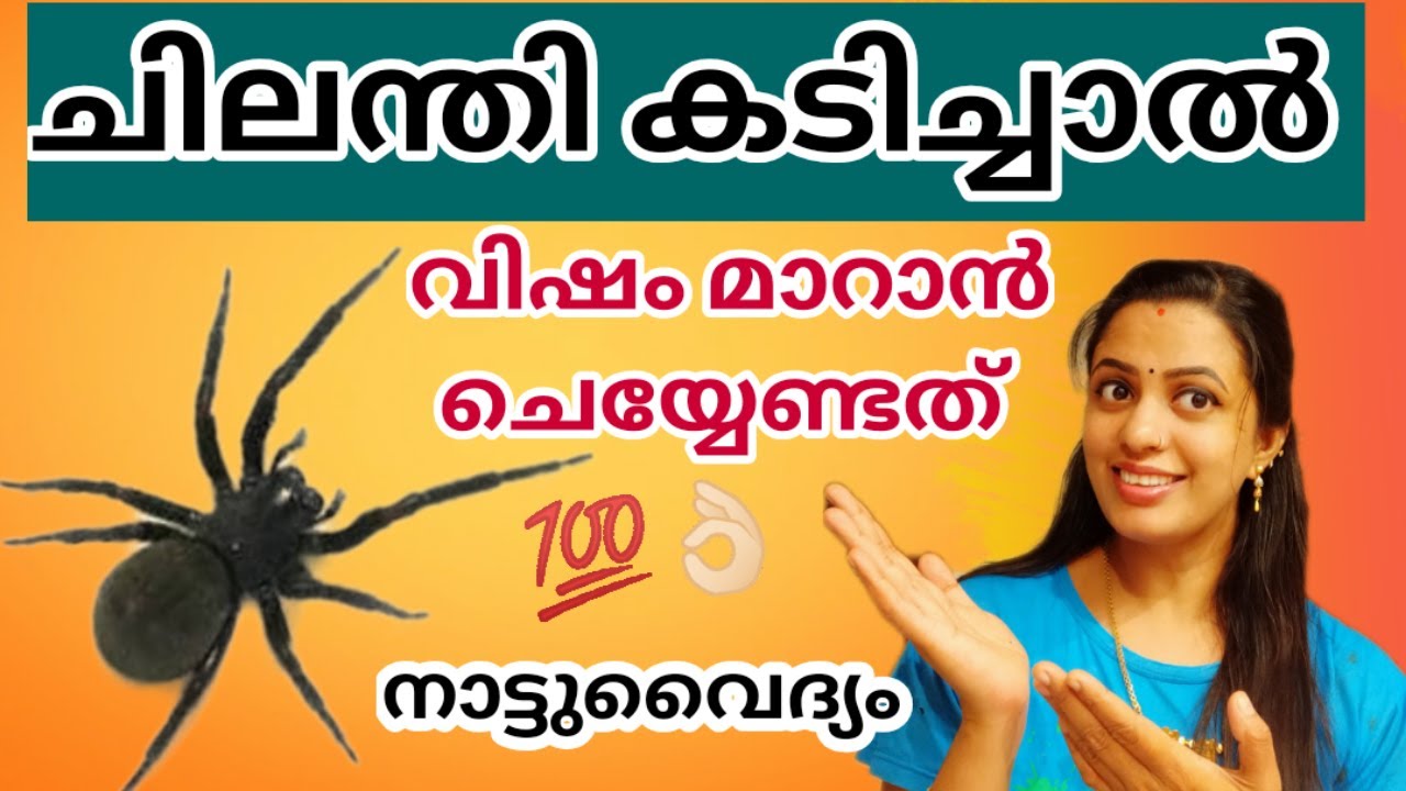 ചിലന്തി കടിച്ചാൽ ഉടനെ തന്നെ ചെയ്യാവുന്ന 💯% ഫലപ്രദമായ മരുന്ന് #spiderbite #spider #poison  #ayurveda