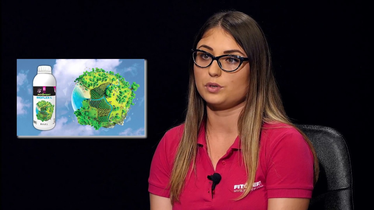 Fitofert: Prihrana povrća