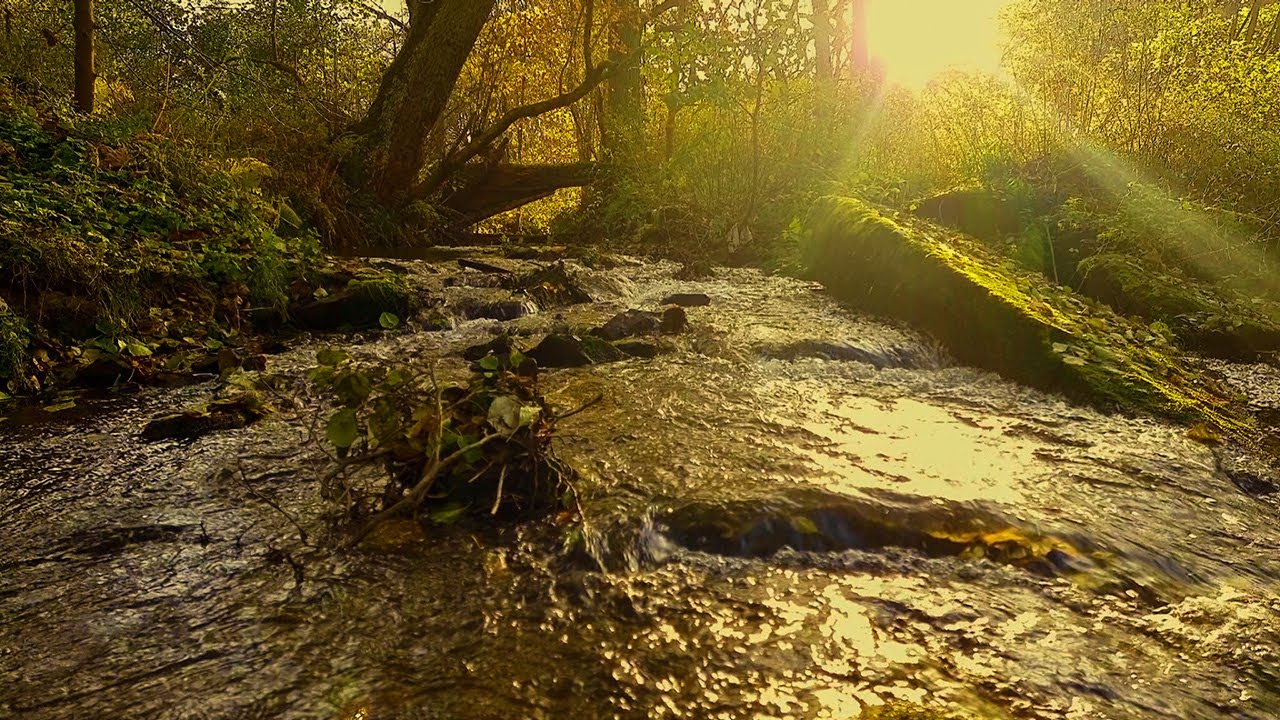 Wasser plätschert durch einen Bach im Herbst - Naturgeräusche zum relaxen und entspannen - ASMR