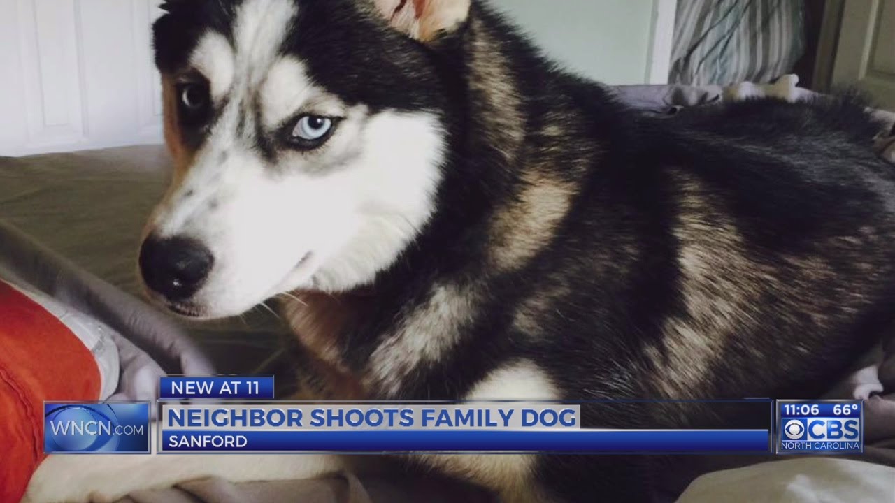 No charges against Sanford man who shot neighbor’s dog
