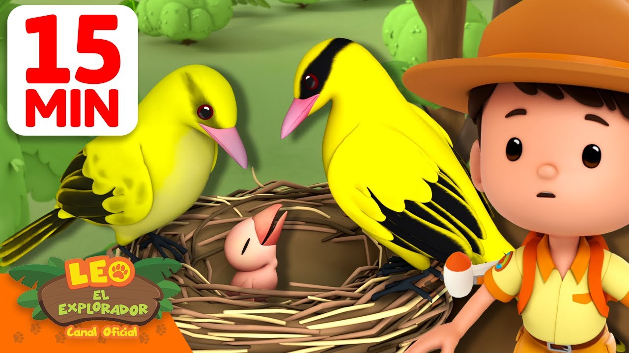 ¡El pajarito se ve diferente a sus padres! 🐦👪 | 15 Min | Leo, El Explorador | Animación