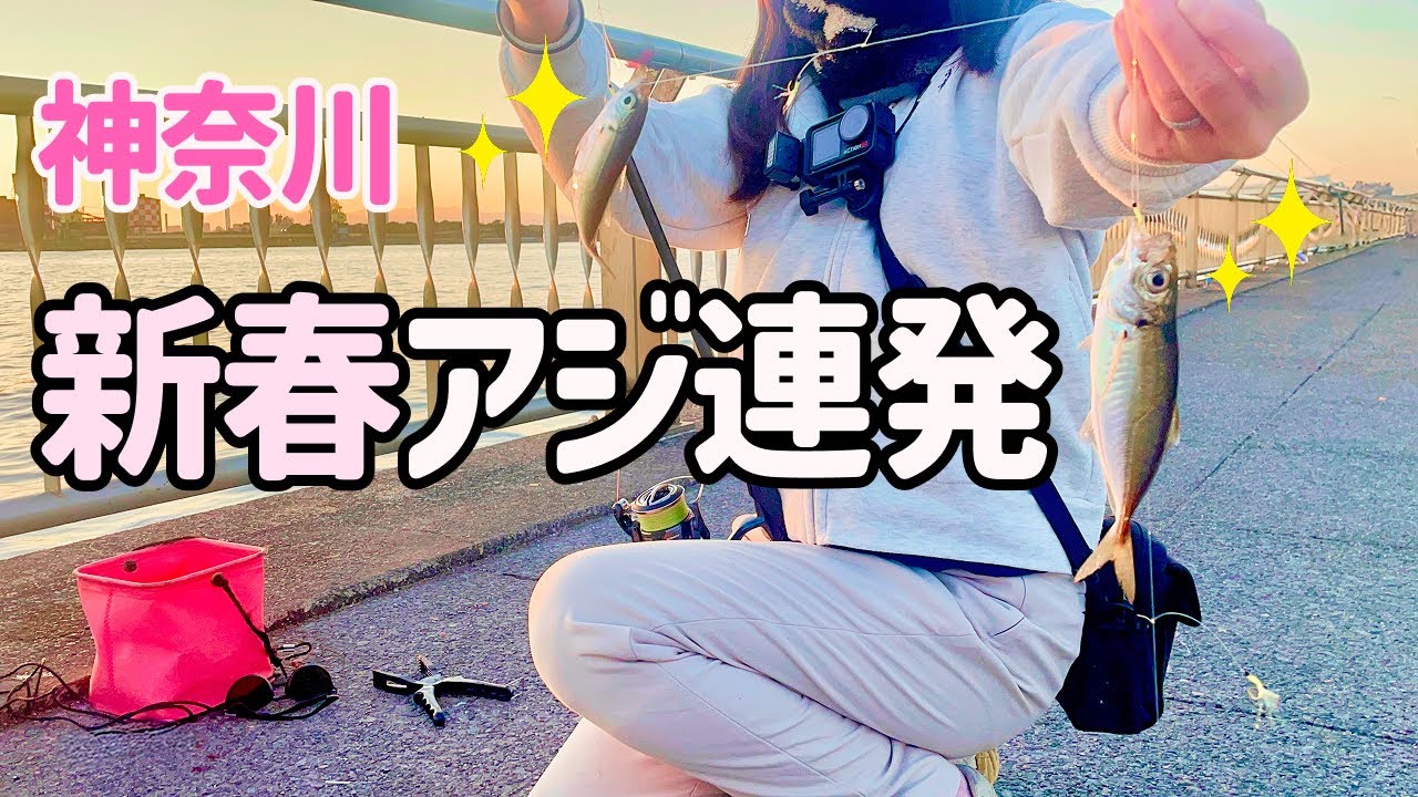 1月でもアジ連発!!２つの堤防でアジ釣り!餌なしサビキが最強だった！【神奈川釣り】【2026.1】