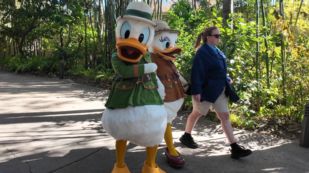 Встреча с Дейзи, Дональдом Даком, Гуфи и Плуто в Animal Kingdom в Disney World.