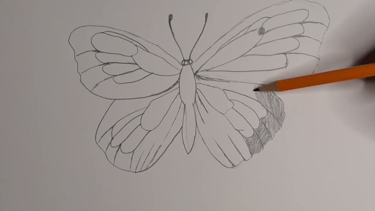 Butterfly drawing with one pencil #easy to draw #how to draw 