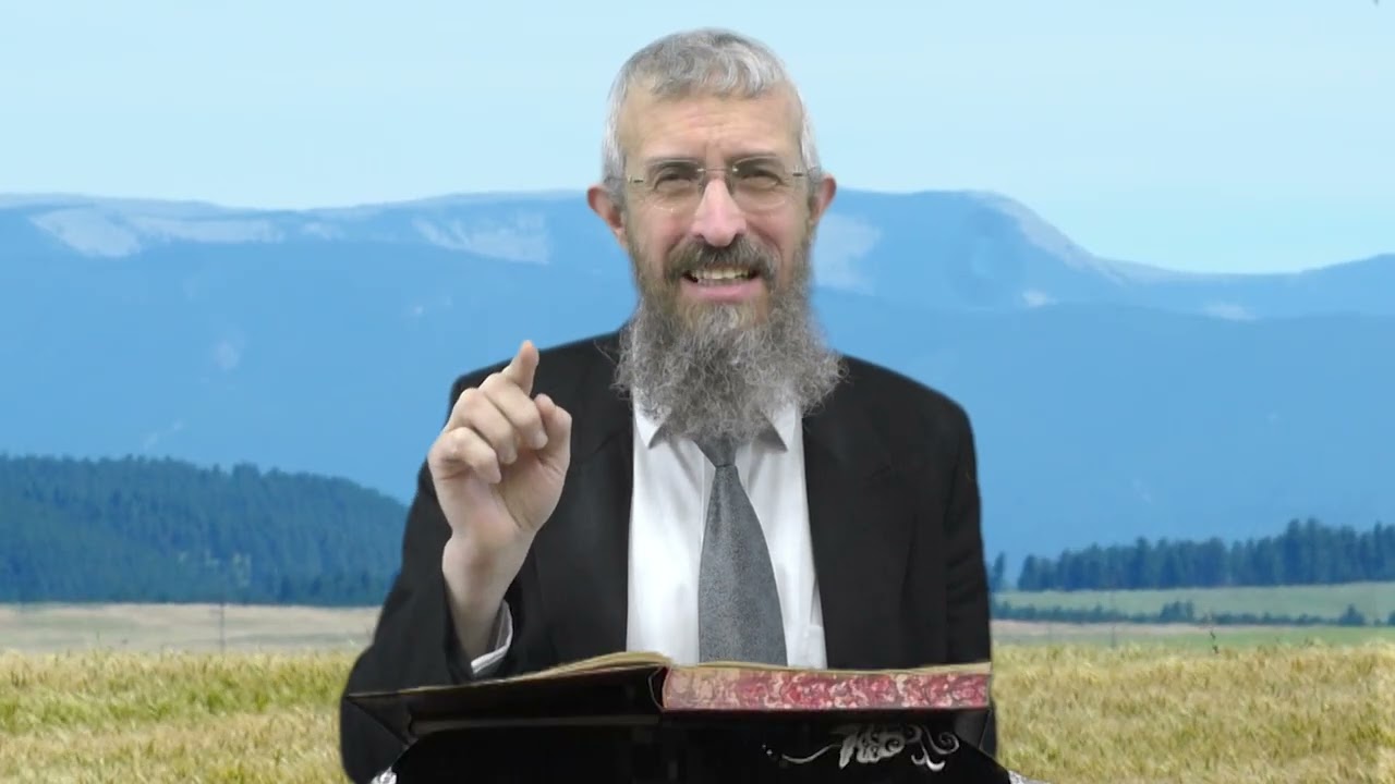 מסכת מנחות דף ו - 8 דקות של לומדות ועמקות בדרך הלימוד הישיבתית [Menachot 6]