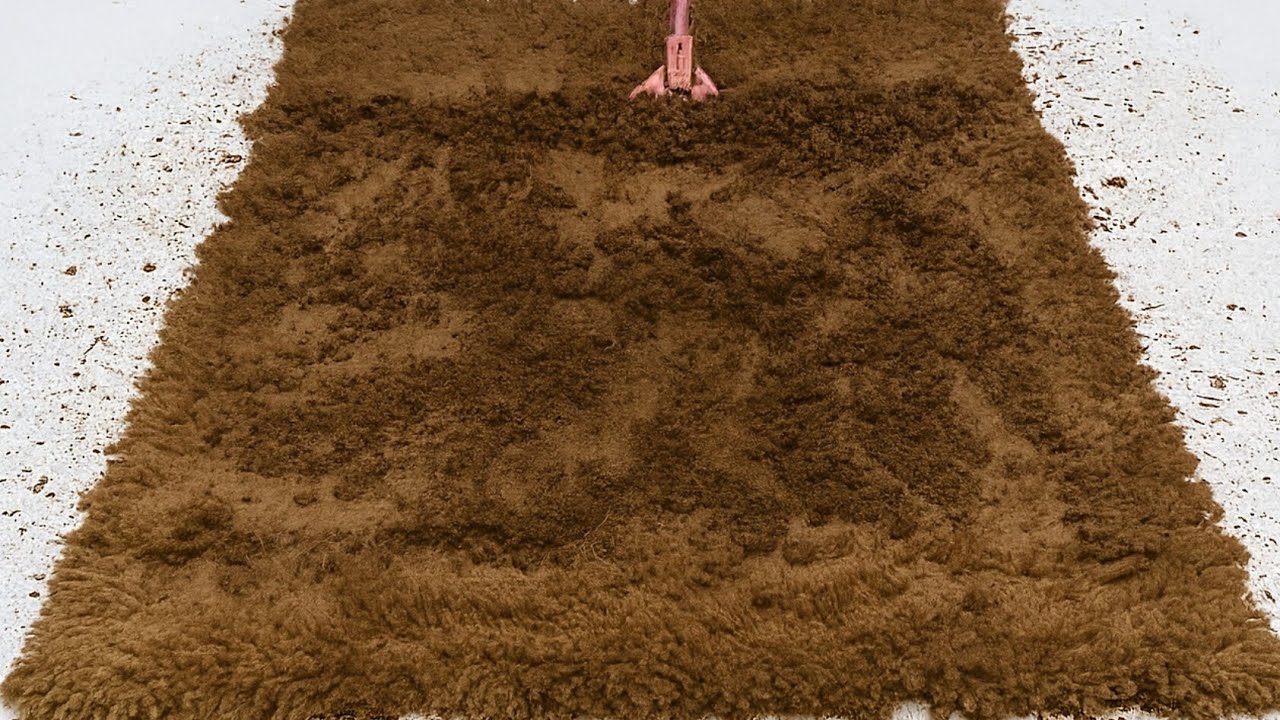 amazing Transformation for carpet big and mud - satisfying carpet cleaning video ASMR