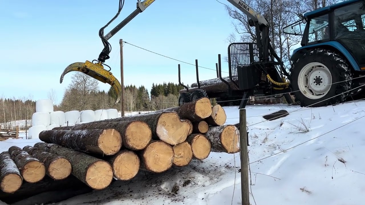 Timmer till sågen