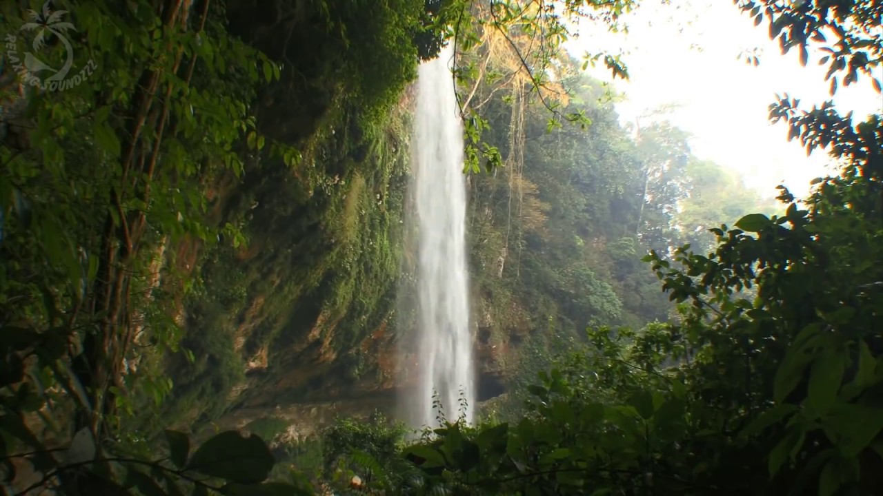 🐦 Waterfall Scenery in Tropical Rainforest with the Sound of Falling Water and Singing Jungle Birds