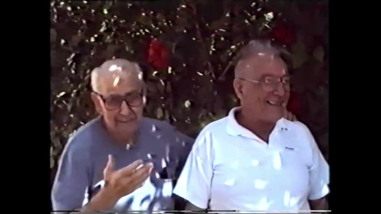 1995 הפרטה  MATZUVA TO PRIVATISATION 1995