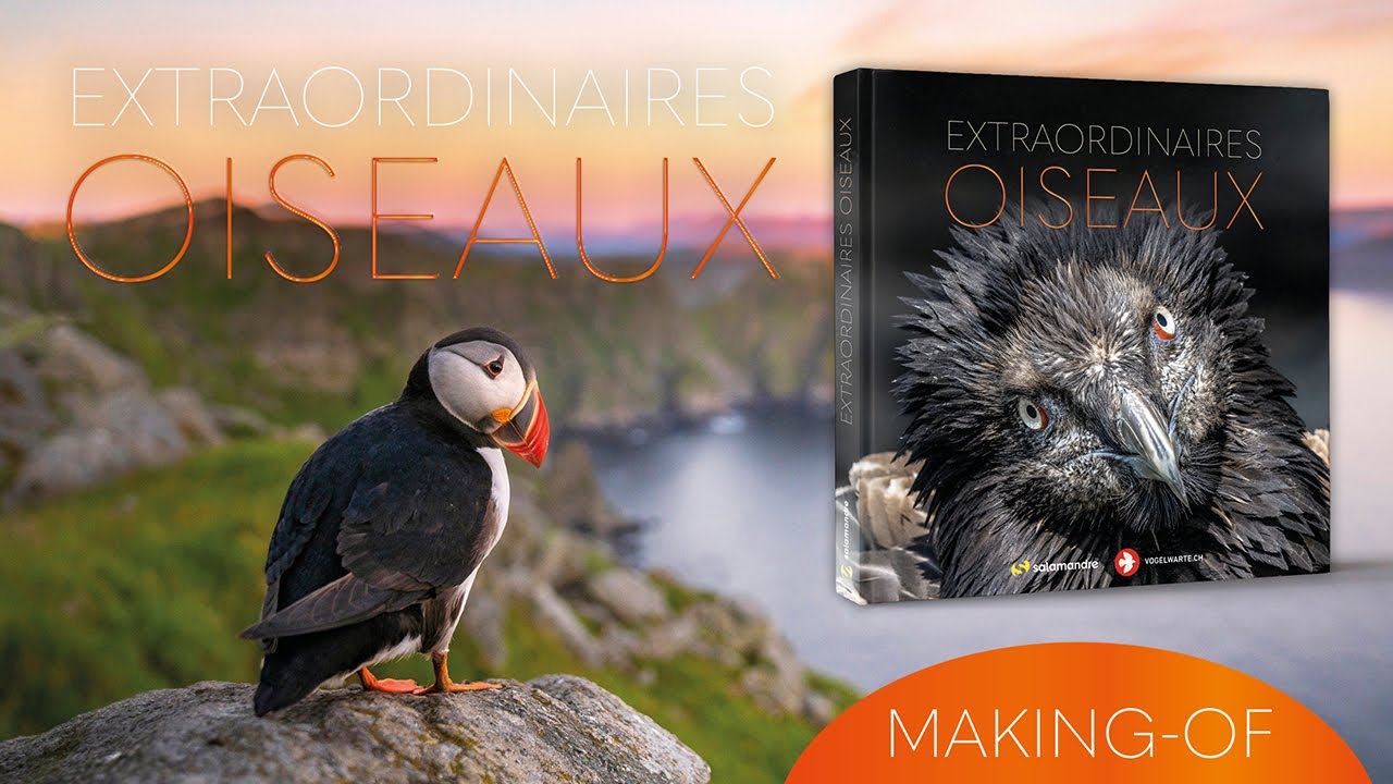 Extraordinaires Oiseaux - Bande-annonce du livre