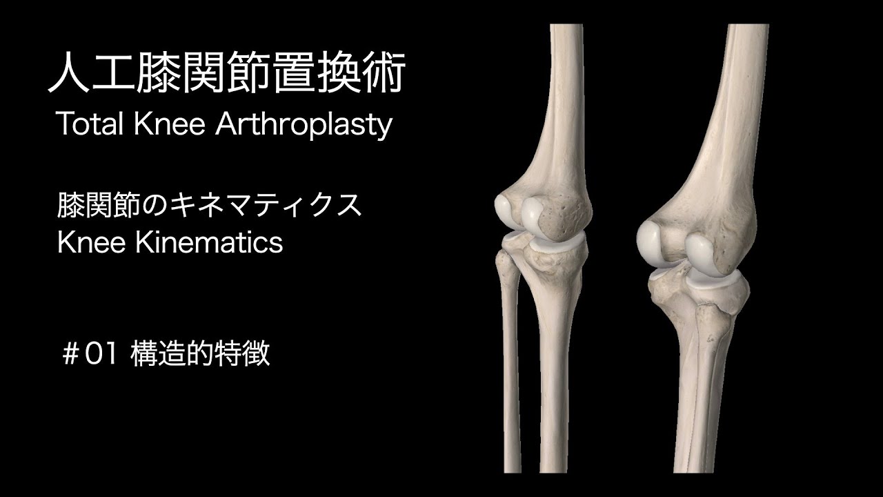 【医学】人工膝関節置換術・膝関節の構造的特徴
