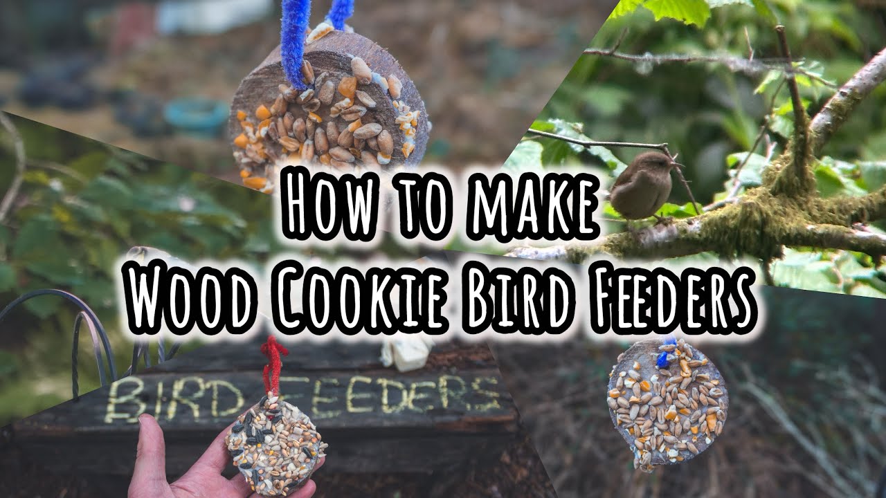 Wood Cookie Bird Feeders | Big Garden Bird Watch Activities 