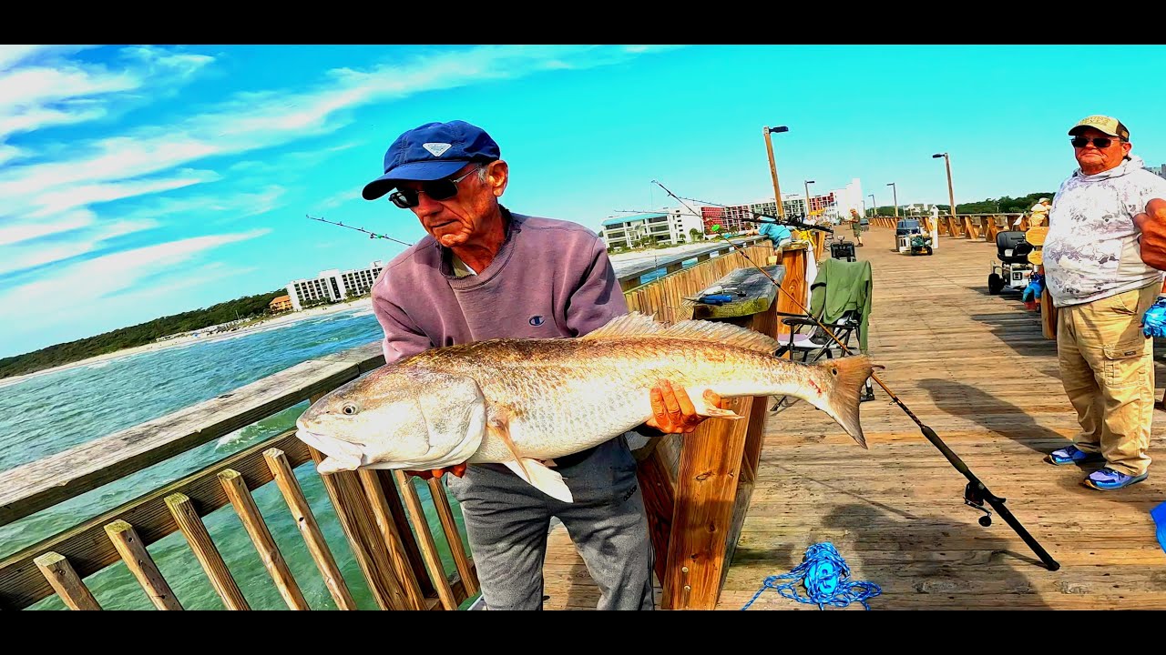 fishing for monsters in myrtle beach!!! springmaid pier. 9-12-24