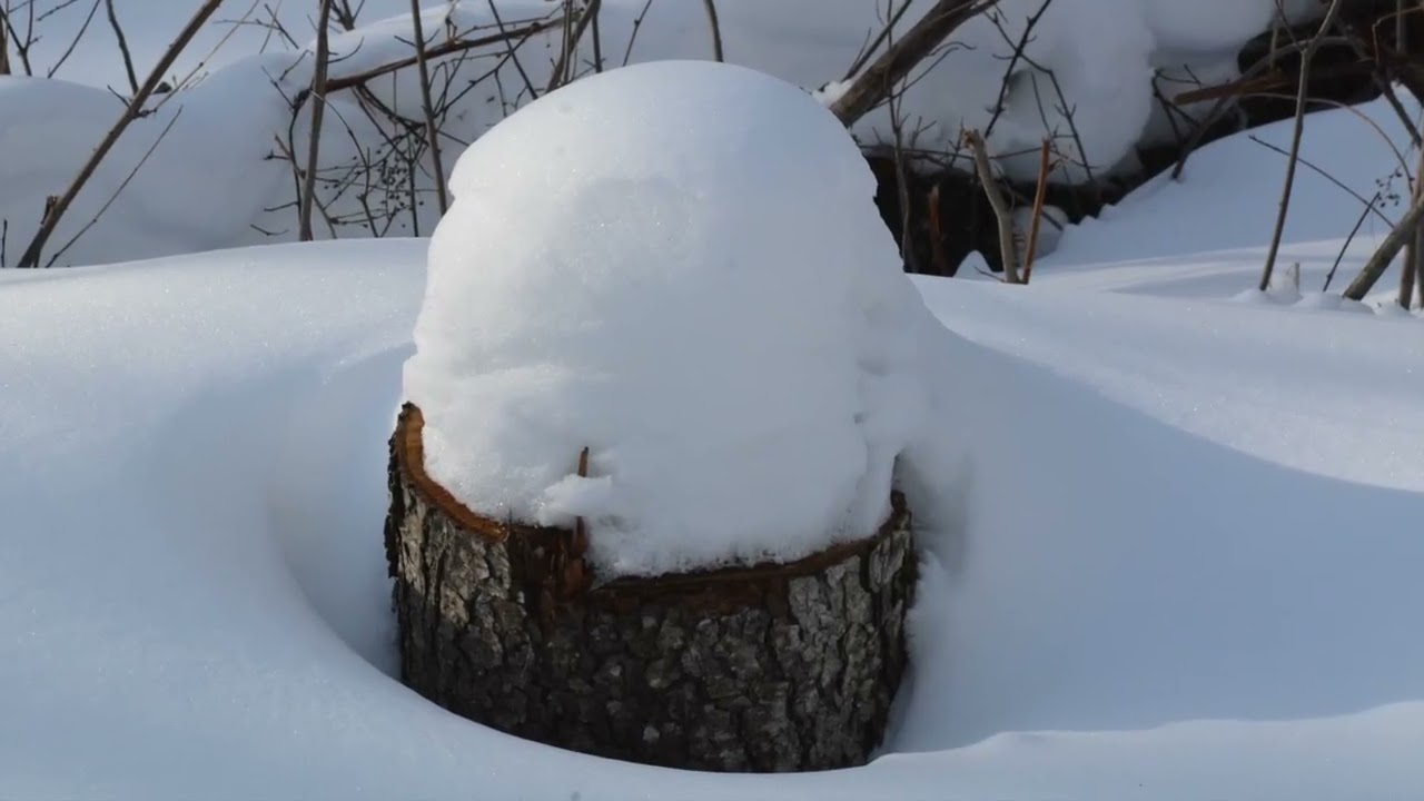 Balade Nature Hiver 2026