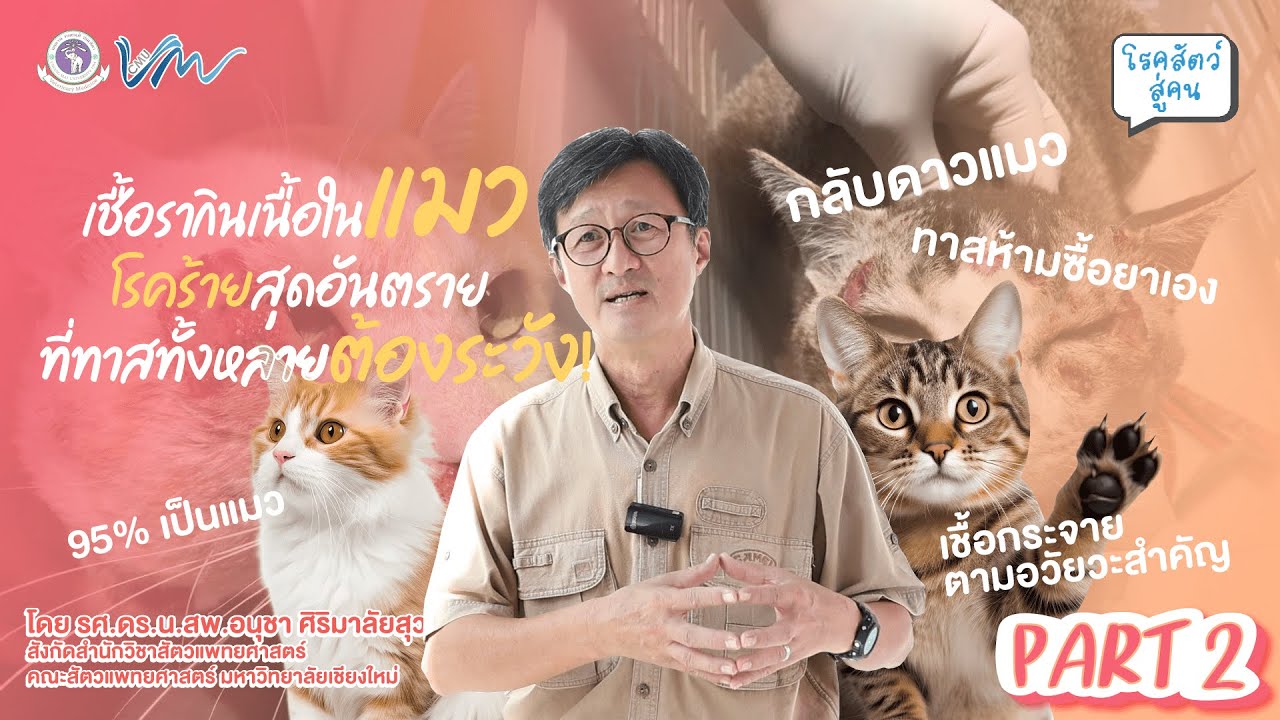 EP.13 😿เชื้อรากินเนื้อในแมว โรคร้ายสุดอันตราย ที่ทาสทั้งหลายต้องระวัง👩🏻 [โรคสัตว์สู่คน]