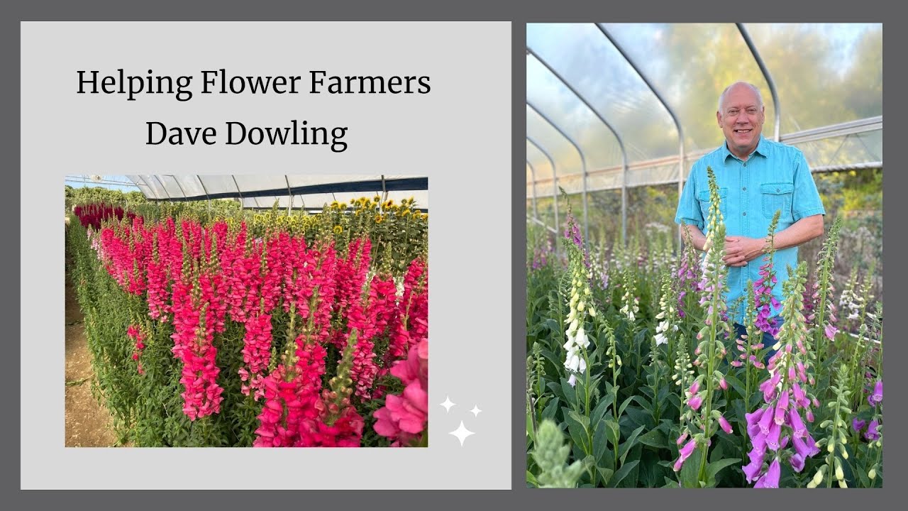 Dave Dowling: Supporting flower farmers and locally grown flowers